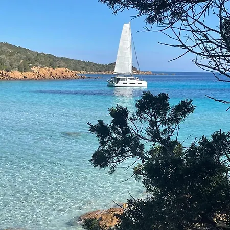 Spacieux A Porto-vecchio Avec Piscine Partageeb *