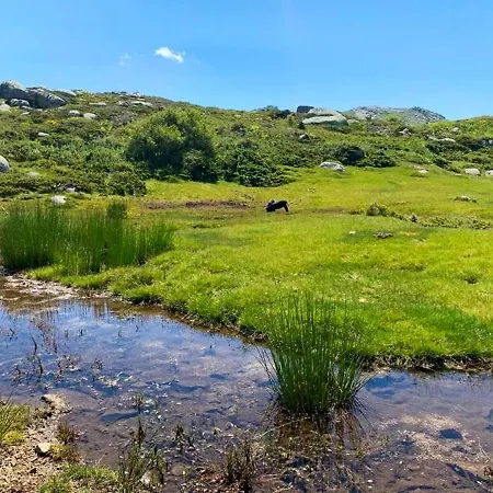 Spacieux A Porto-vecchio Avec Piscine Partageeb * Порто-Веккьо