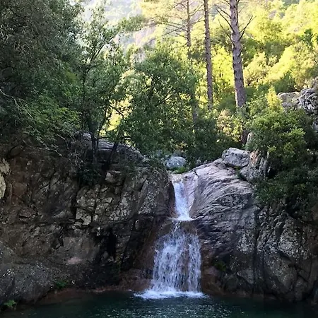 Апартаменты Spacieux A Porto-vecchio Avec Piscine Partageeb