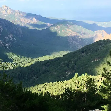 Spacieux A Porto-vecchio Avec Piscine Partageeb Апартаменты