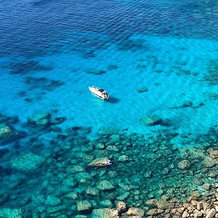 Spacieux A Porto-vecchio Avec Piscine Partageeb *