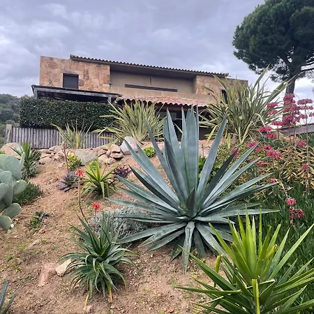 Spacieux A Porto-vecchio Avec Piscine Partageeb