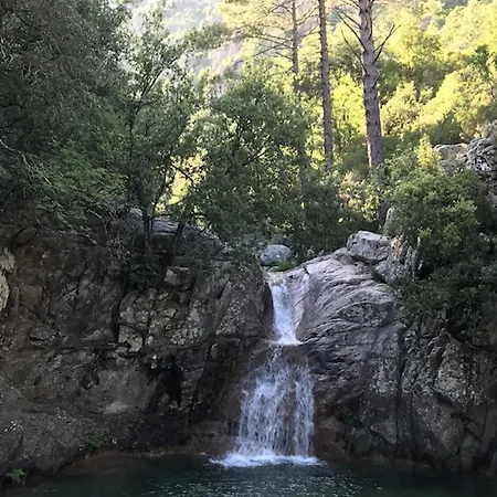 Spacieux A Porto-vecchio Avec Piscine Partageeb Appartement