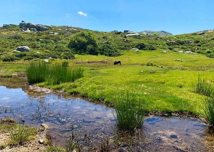 Spacieux A Porto-vecchio Avec Piscine Partageeb * 维琪奥港