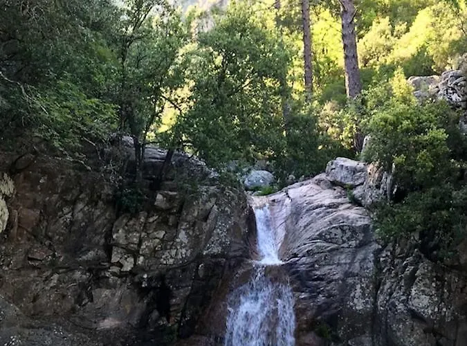 公寓 Spacieux A Porto-vecchio Avec Piscine Partageeb