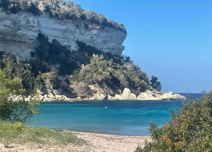 Spacieux A Porto-vecchio Avec Piscine Partageeb 公寓 维琪奥港