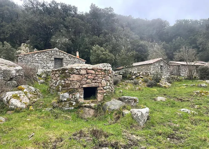 公寓 Spacieux A Porto-vecchio Avec Piscine Partageeb *